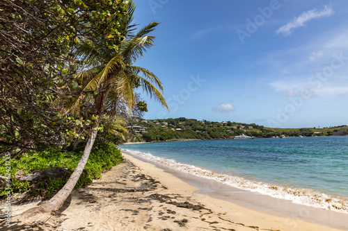 Saint Vincent and the Grenadines  Friendship Bay  Bequia