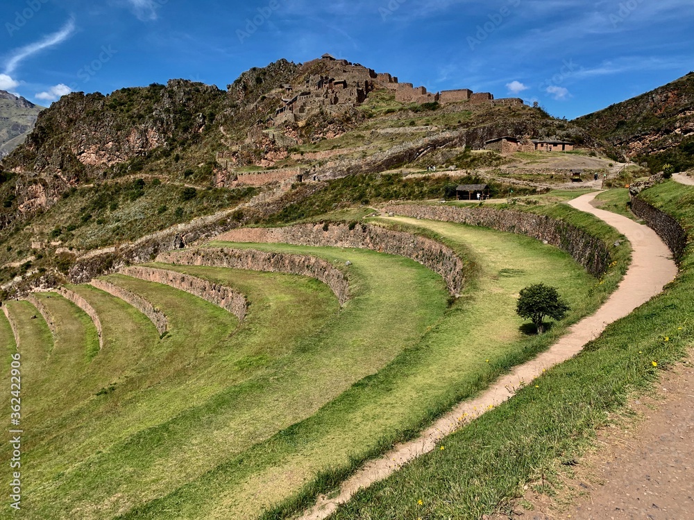 ancient green peruvian incas agricultural terraces near Pisac fortress, Sacred Valley of Inca, scenic valeey Urubamba