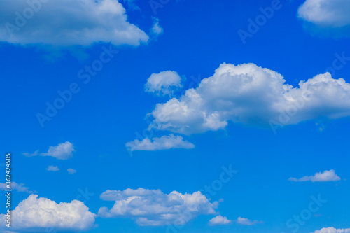 Fototapeta Naklejka Na Ścianę i Meble -  White fluffy clouds in the blue sky