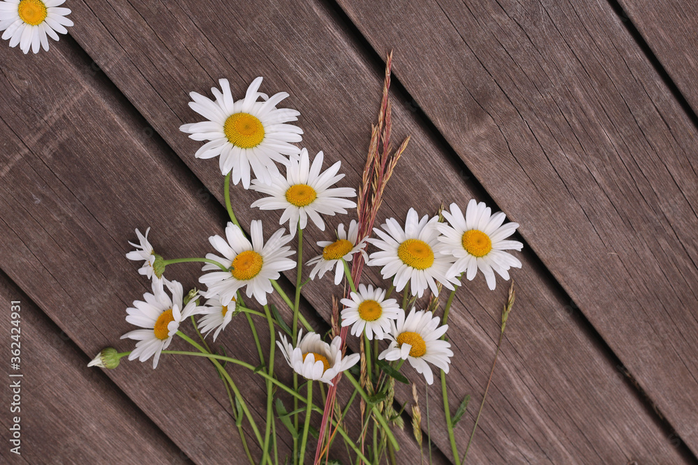 Obraz premium a bouquet of white daisies on a rustic wooden background. flat layout