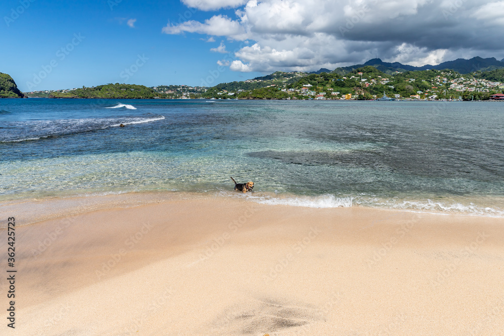Saint Vincent and the Grenadines, Blue Lagoon Saint Vincent and the Grenadines, Blue Lagoon