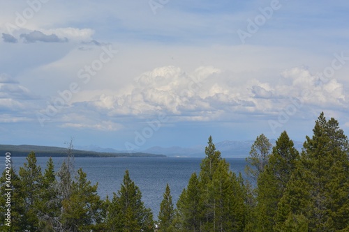 Mountain lake framed by pines