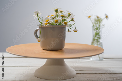 white daisies in a sompel cup