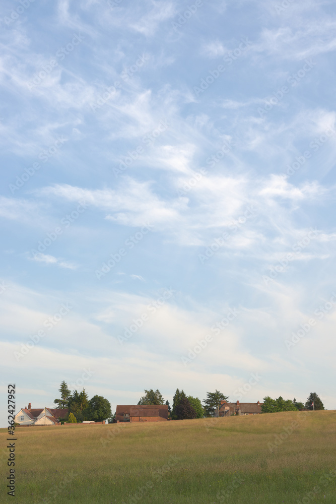Wispy summer clouds float over a meadow, trees and rural houses.