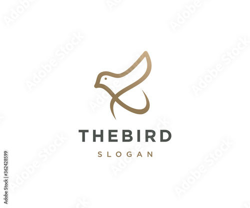 Bird logo design vector template