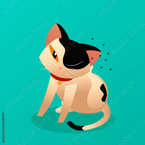 cat scratching, gato rascándose