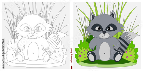 Black-and-white and color images for a color book. Contour drawing with children's themes. In a clearing among reeds and ferns sits a baby raccoon. For color books, children's prints, postcards.