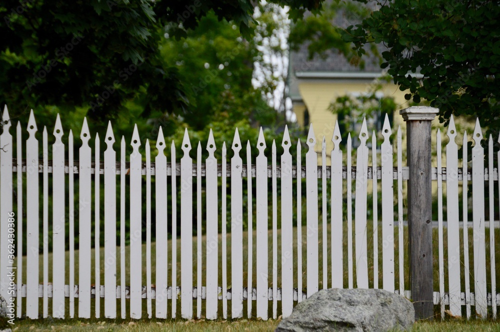 white picket fences in New England
white picket fences in New England