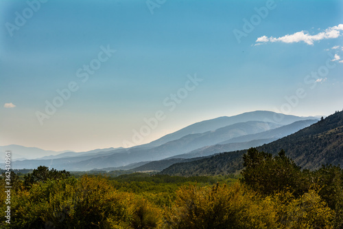 Scenic View of mountains and trees in Grand Mesa Colorado with a few golden aspens.