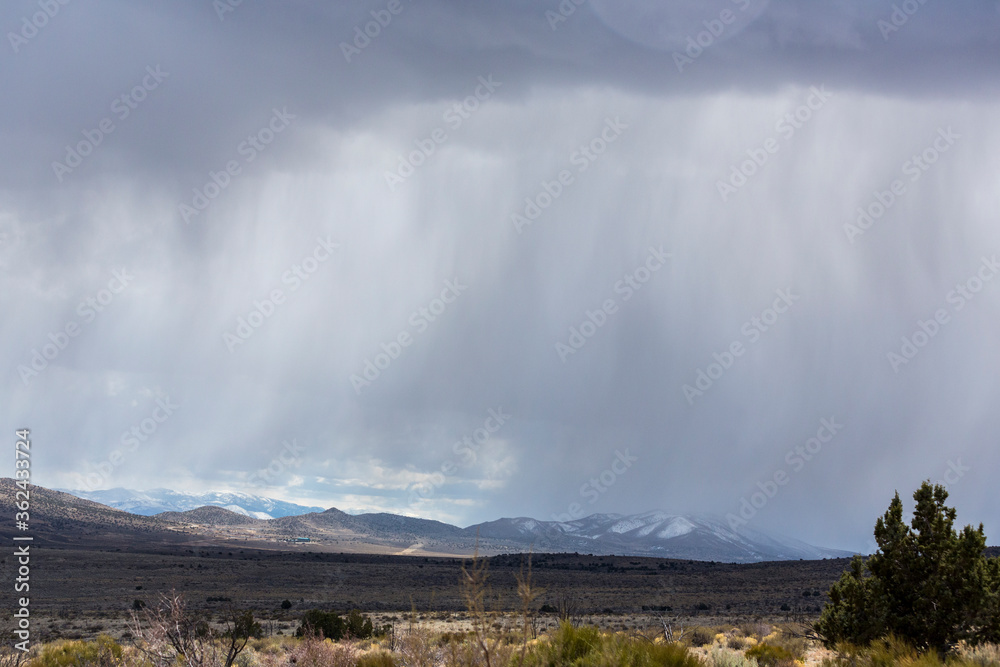 Virga rain scene over the desert sagebrush and trees Virga rain scene over the desert sagebrush and trees