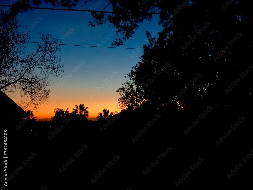 sunset in the forest sunset in the forest