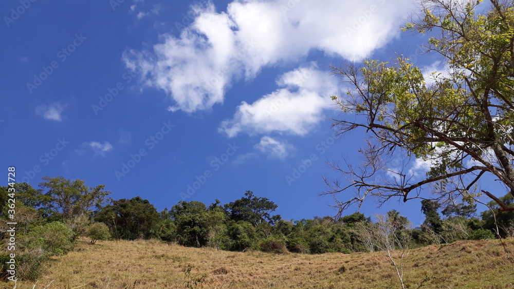 Paisagem do Cerrado Brasileiro nas Minas Gerais