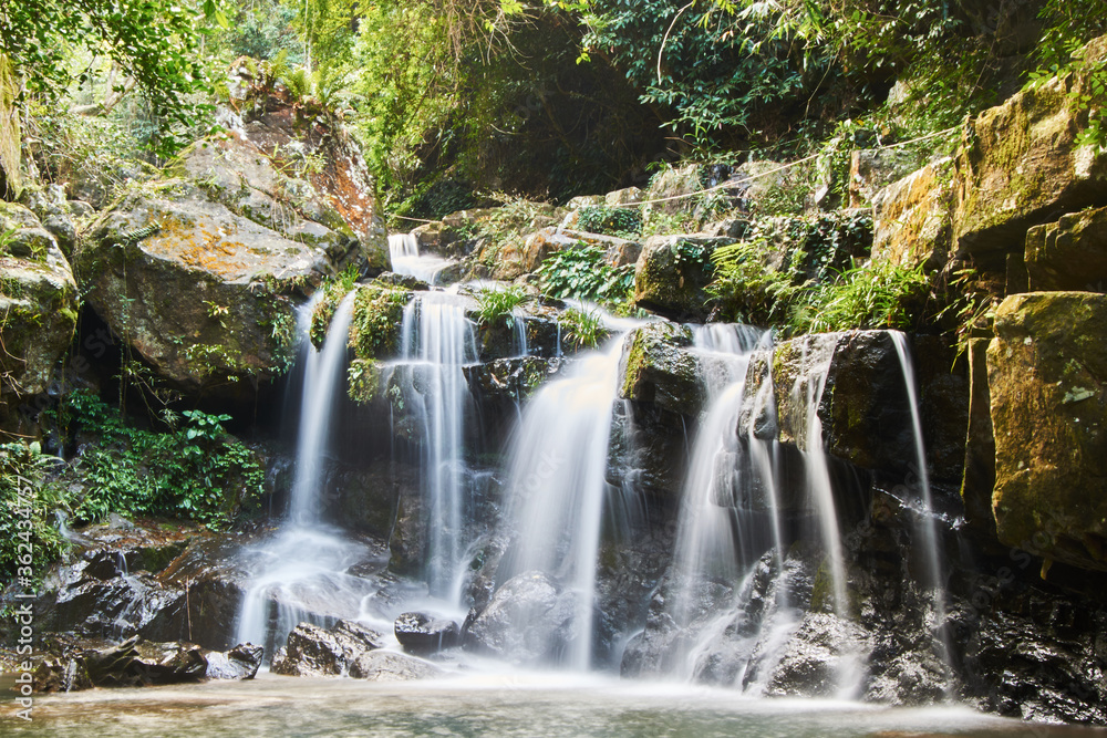 Waterfall In The Forest