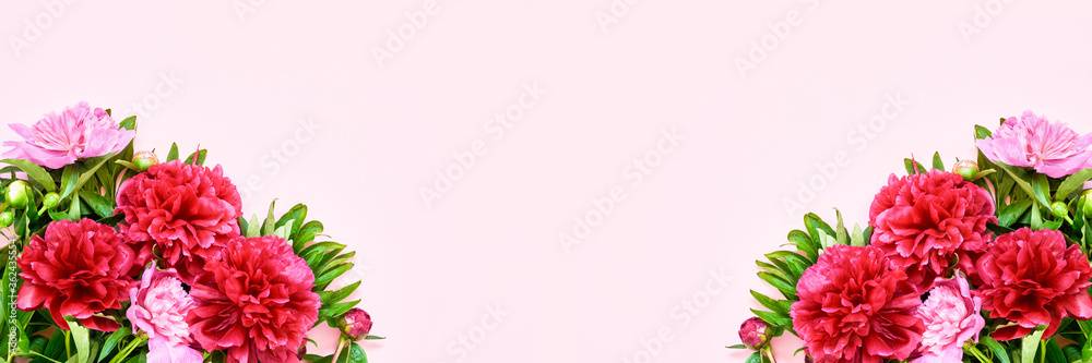 Pink Holiday banner. Bouquet of pink peonies on pink background. Mothers day, Valentines Day, Birthday celebration concept. Copy space, top view Pink Holiday banner. Bouquet of pink peonies on pink background. Mothers day, Valentines Day, Birthday celebration concept. Copy space, top view
