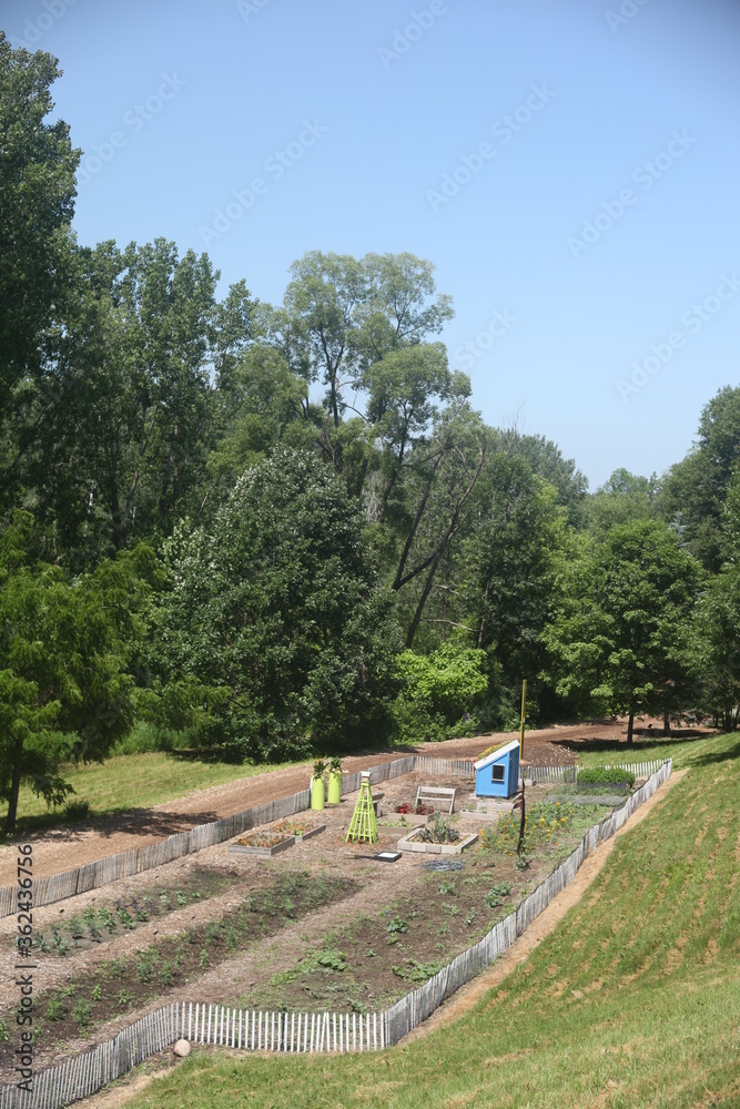 LARGE GARDEN IN SPRING WITH BIRD HOUSES LARGE GARDEN IN SPRING WITH BIRD HOUSES
