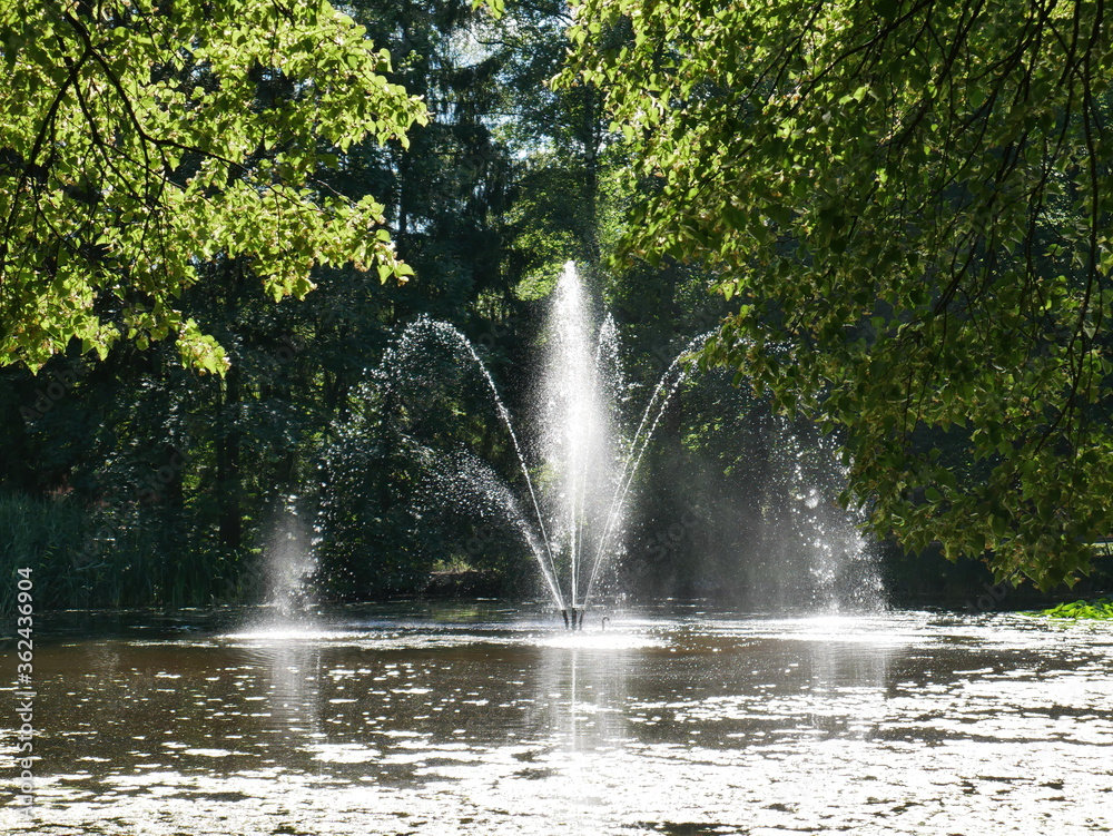 Fototapeta premium Fountain in a pond in a public park framed by trees. In bright sunlight.