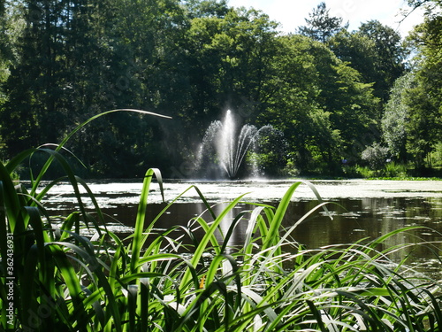 Fountain in a pond in a public park framed by trees. In bright sunlight.