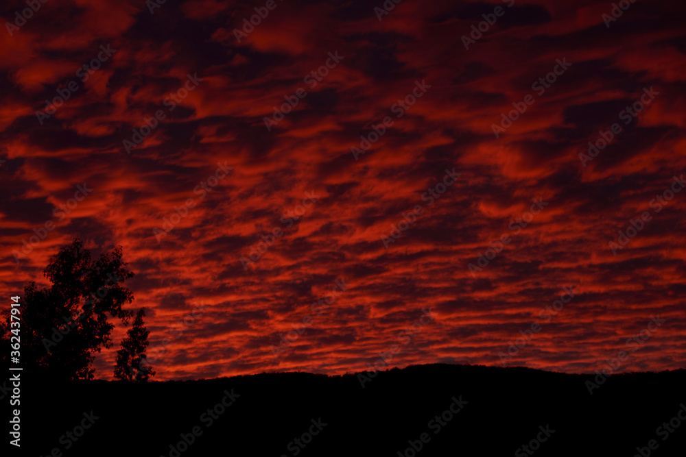 Silueta de montaña y árbol con un atardecer rojizo