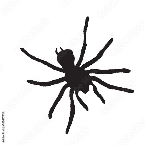 Spider silhouette on a white background. Vector Illustration