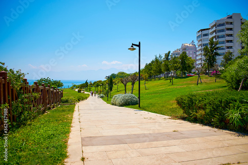 Fotografie Park by the sea with beautiful greenery, trees and shrubs