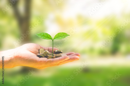 growth finance concept plant growing on coin in business man hand for wealth saving money and investment success.