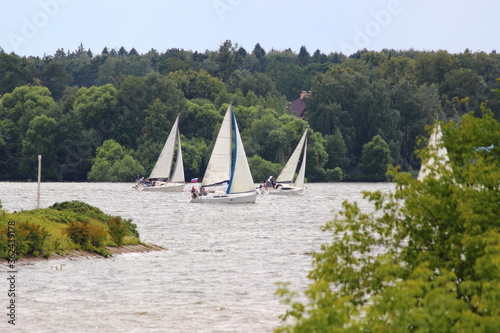 Fototapeta Naklejka Na Ścianę i Meble -  Sail boats Regatta on river on summer day on shore rorest background, sailing in Moscow Region, active outdoor adverture water sports, view from Moscow canal