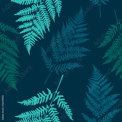 Fern leaf seamless pattern background. Vector Illustration