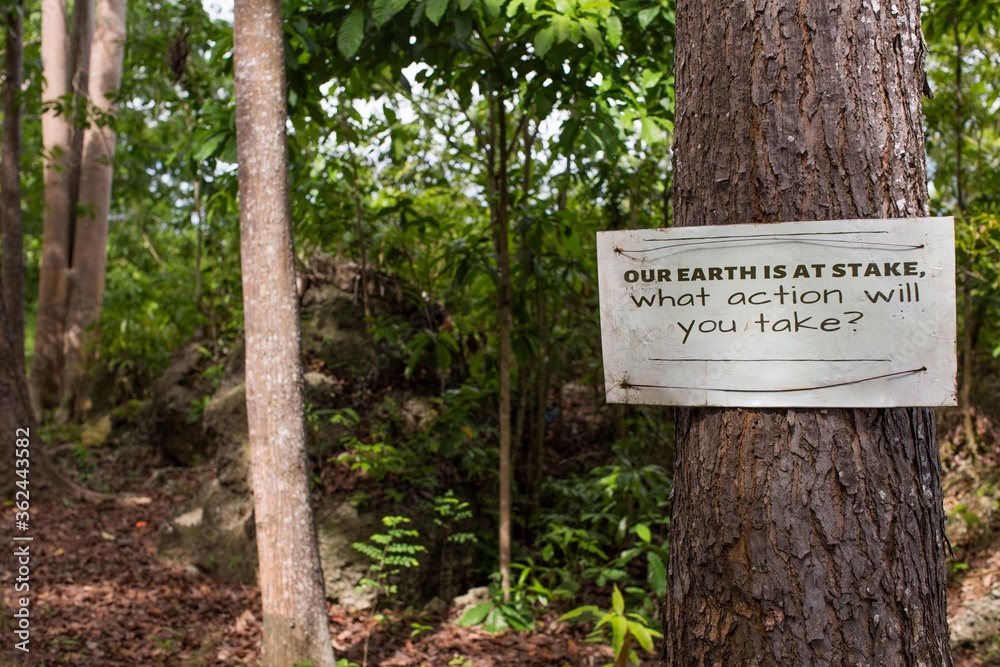 environmental conservation sign on a tree in the forest 