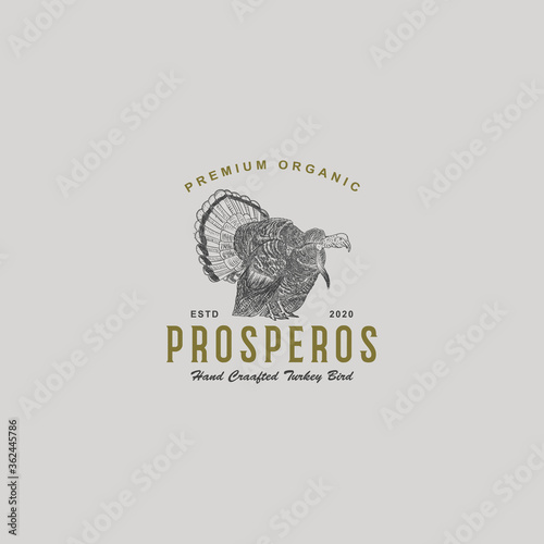 Turkey Bird Vintage Hand Drawn Logo Design Illustration