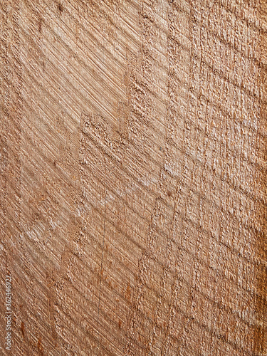 Close up of freshly cut wooden log with visible lines