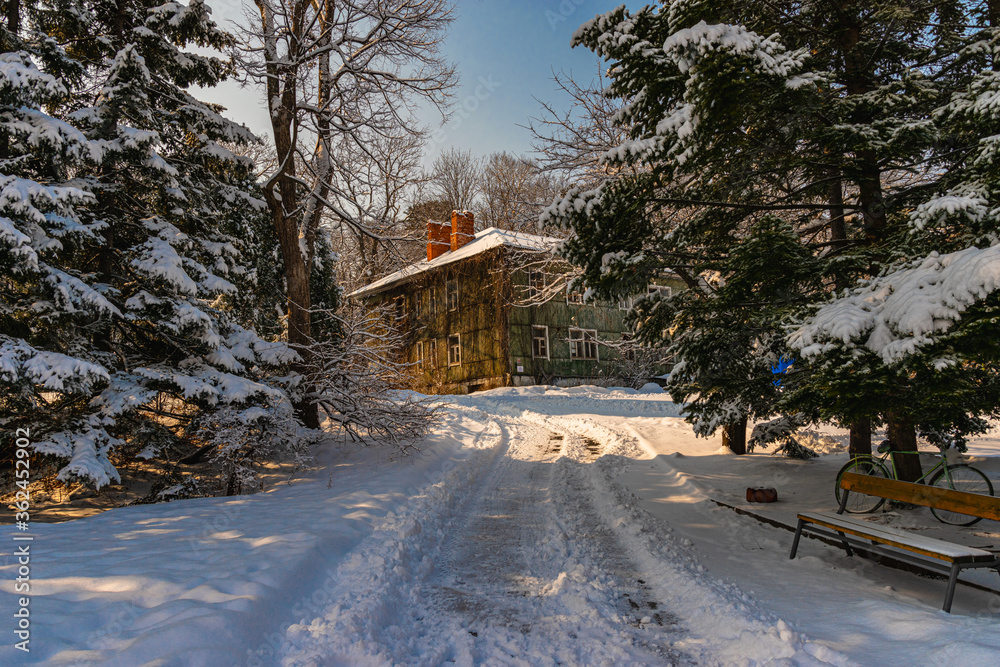 Fototapeta premium road in winter