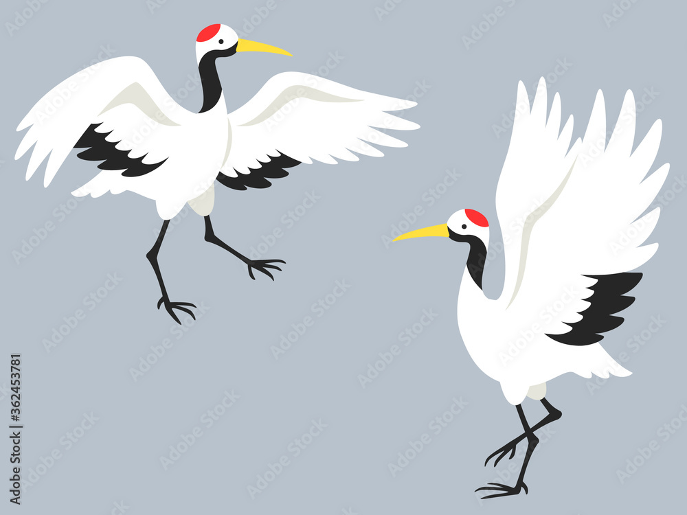 Naklejka premium 翼を広げて踊る鶴のペアのイラスト