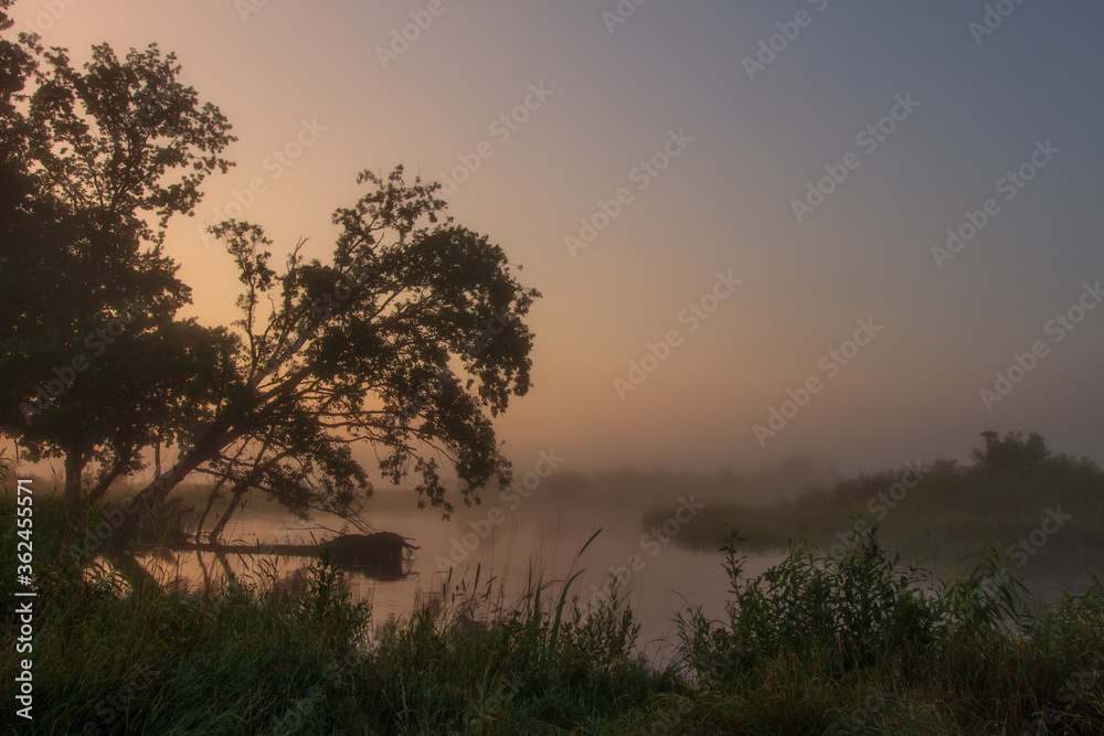 Scenery of early sunrise in misty summer morning. Fog on river. Trees near river coast. Scenery of early sunrise in misty summer morning. Fog on river. Trees near river coast.