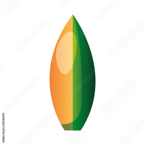 Isolated summer surfboard vector design