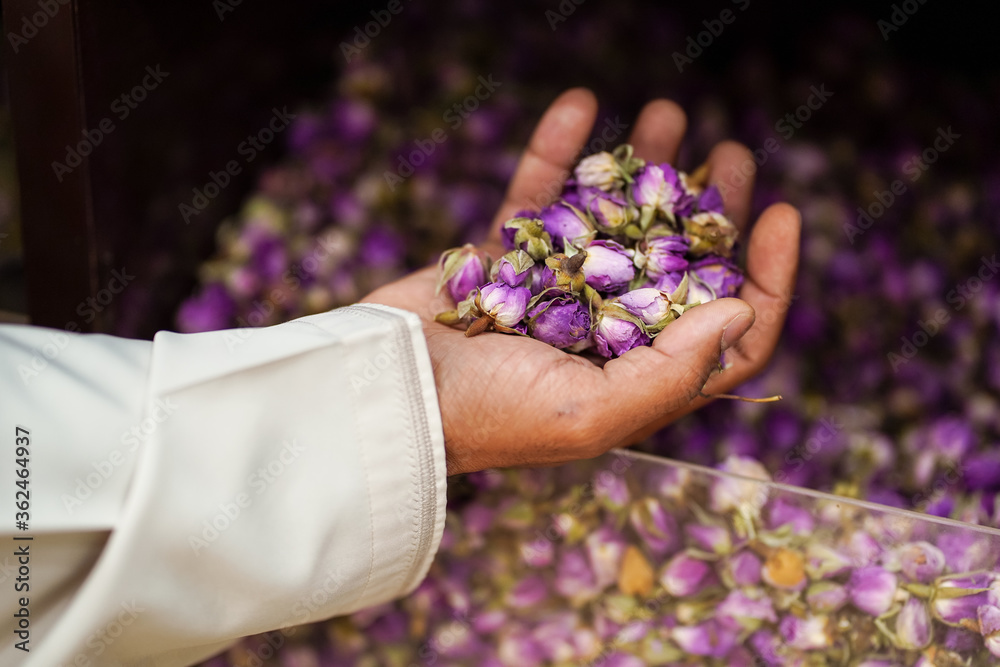 Muslim man's hand holding flowers used to create scents, perfumes and incenses in a shop in the historic souk of Nizwa
