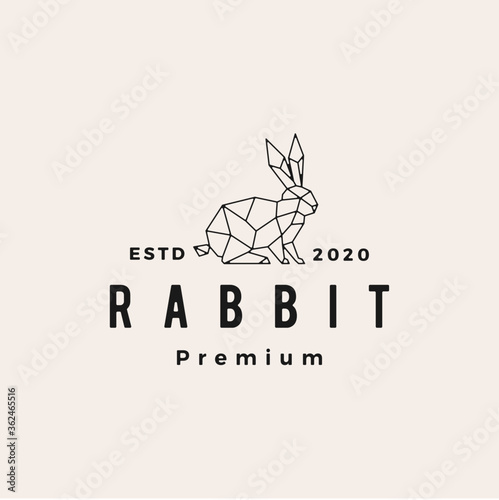 geometric rabbit hare bunny hipster vintage logo vector icon illustration