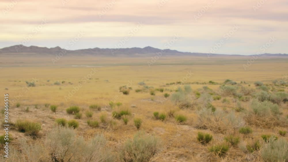 Desert Evening 4k background plate 35mm MLS Desert Evening 4k background plate 35mm MLS