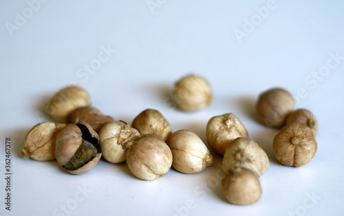 Dried cardamon on white background.