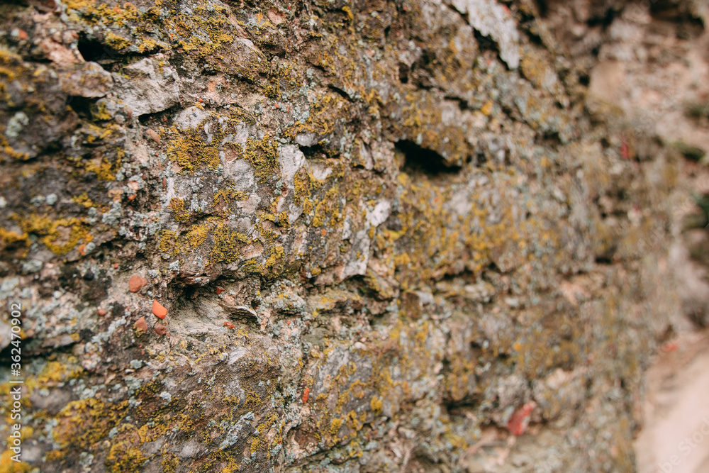 An old medieval stone wall, grass and moss on it. Wallpaper, natural background, copy space, soft focus. An old medieval stone wall, grass and moss on it. Wallpaper, natural background, copy space, soft focus.