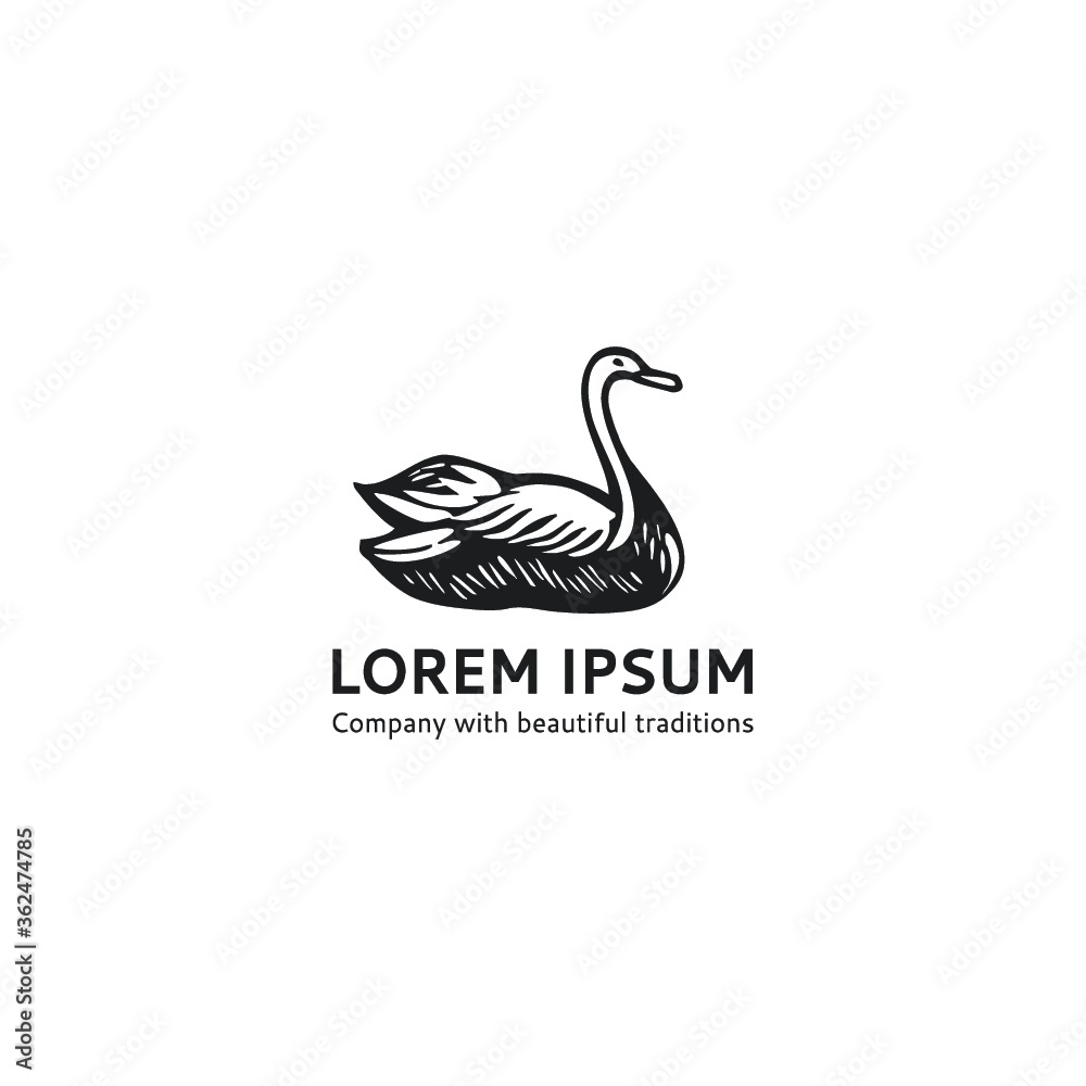 Swan logo template. Logo bird logo template. Vector logo Swan Swan logo template. Logo bird logo template. Vector logo Swan