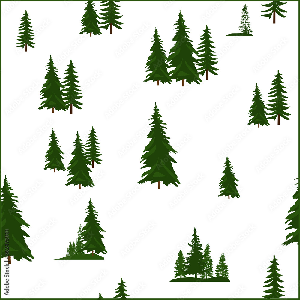 green fir trees background isolated on white