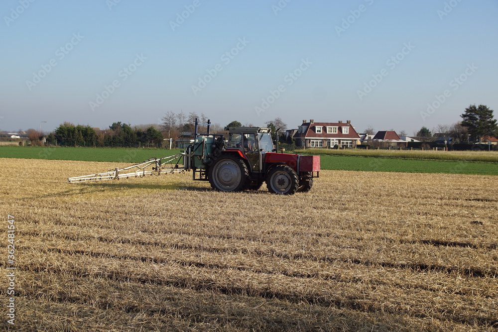 Obraz premium Tractor with a crop protection sprayer in the field with flower bulbs, covered with straw in winter as protection against frost damage and the sandy soil will not drift away. Egmond, Netherlands, 2020