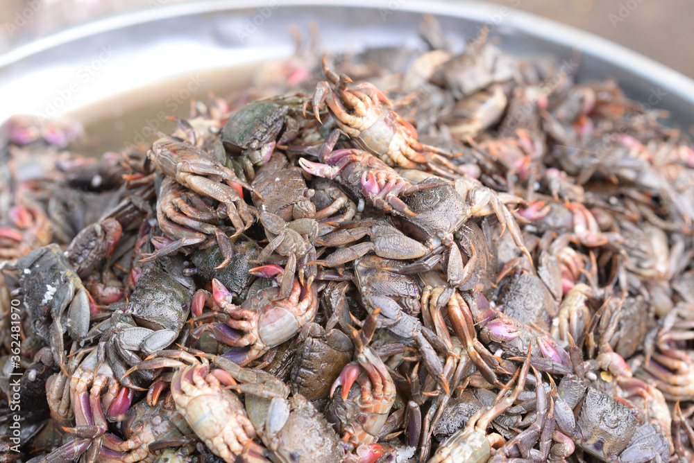 Top view of salted crab, preserved crab with salt