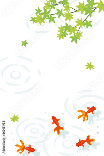 Vector goldfish and green leaves background illustration