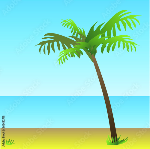 Palm on the blue beach background. Vacation  travel  relax. Vector illustration