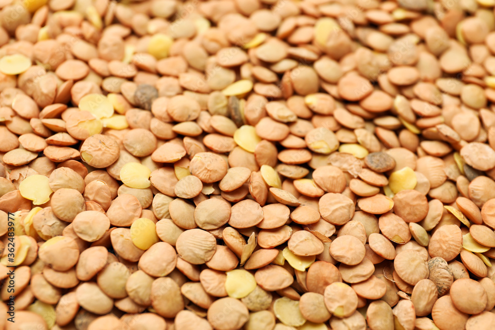 Raw lentils as background, closeup Raw lentils as background, closeup