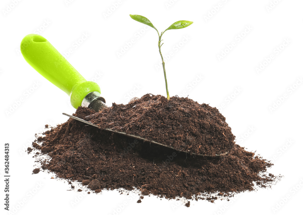 Soil, plant and shovel on white background Soil, plant and shovel on white background
