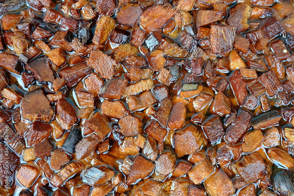 Pieces of Coir in Water that Preparing for Plant. Pieces of Coir in Water that Preparing for Plant.