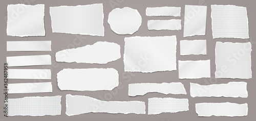 Torn of white note, notebook paper strips and pieces stuck on dark grey background. Vector illustration