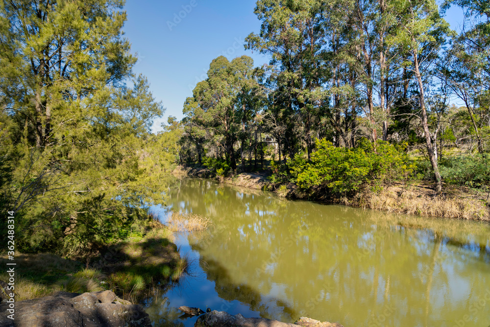 Wild Food Adventures, Truffle Hunt, Southern Highlands 6